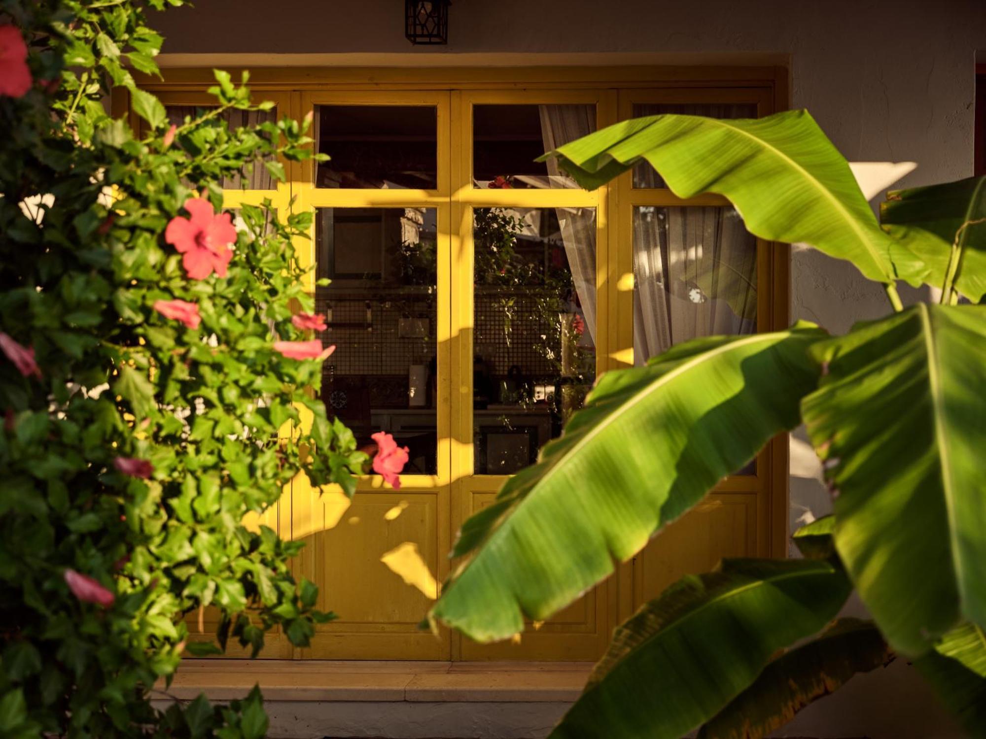 Zakynthos Villas Ανω Βασιλικος Εξωτερικό φωτογραφία
